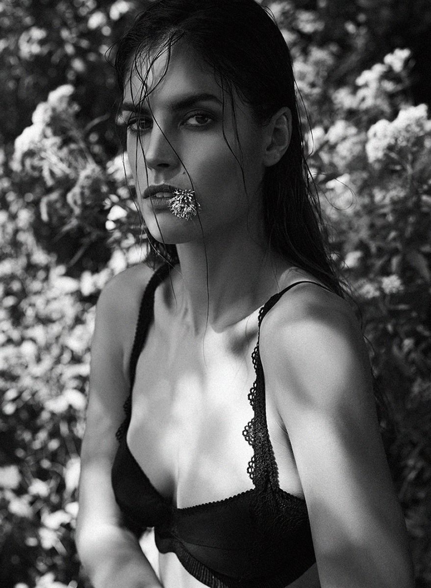 Laurie